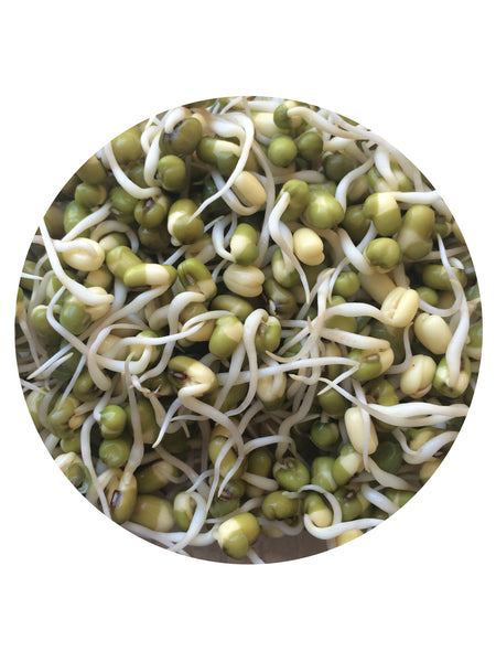 Mung Beans